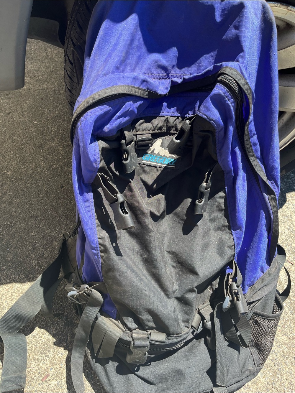 Gregory Blue and Black Outdoor Backpack